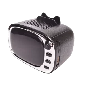 parlante wster portatil modelo WS-5368 800x800 1