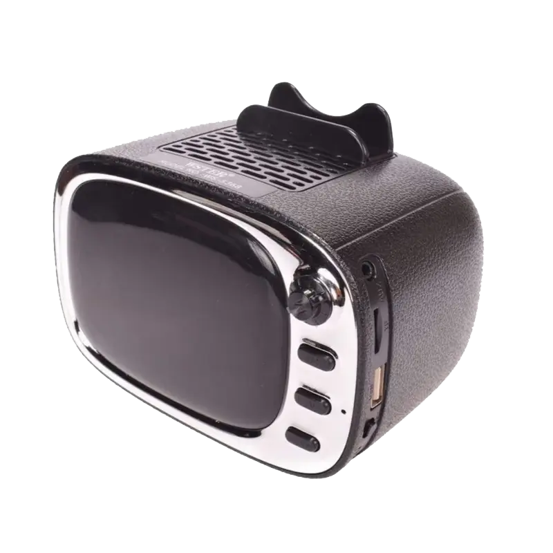 parlante wster portatil modelo WS-5368 800x800 1